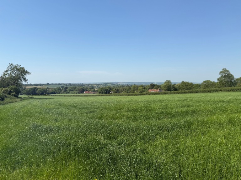 Images for Withial, East Pennard, Somerset