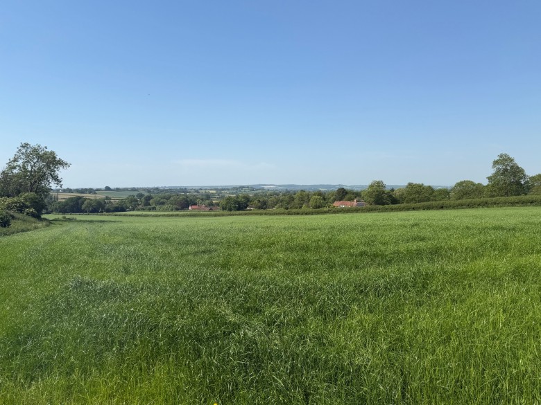 Click the photo for more details of Withial, East Pennard, Somerset