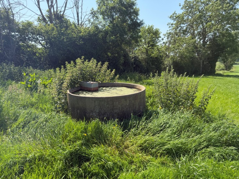 Images for Withial, East Pennard, Somerset