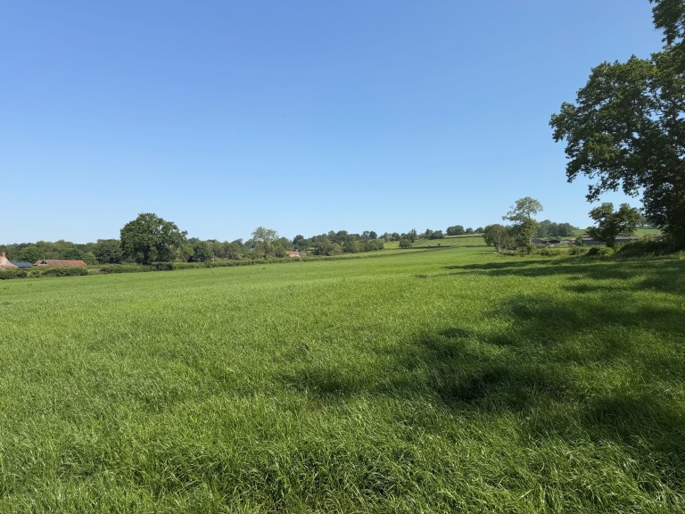 Images for Withial, East Pennard, Somerset