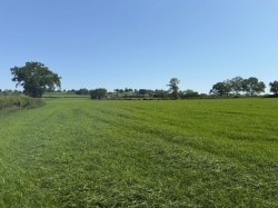 Images for Withial, East Pennard, Somerset
