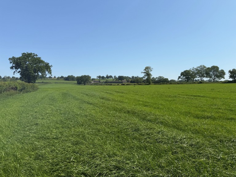 Images for Withial, East Pennard, Somerset