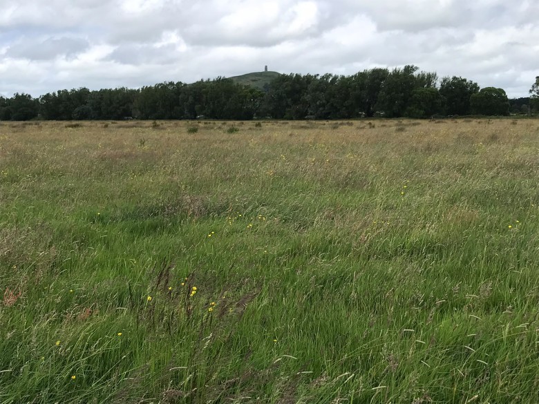 Click the photo for more details of Watchwell Drove, Street, Somerset