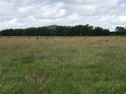 Click the photo for more details of Watchwell Drove, Street, Somerset