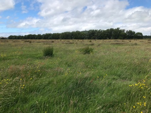 Click the photo for more details of Watchwell Drove, Street, Somerset