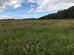Images for Watchwell Drove, Street, Somerset