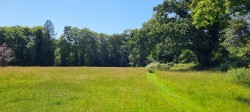 Images for Brookley Road , Brockenhurst, SO42