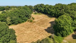 Images for Godshill, Fordingbridge, SP6