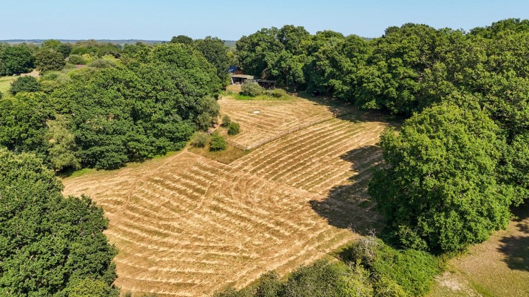 Images for Godshill, Fordingbridge, SP6