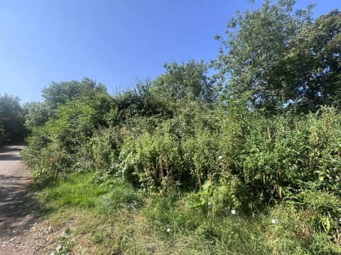Click the photo for more details of Old Cottage, Henley, Somerset