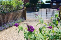 Images for WATLINGTON