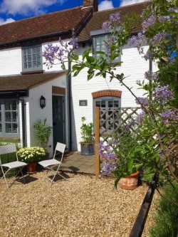 Images for WATLINGTON