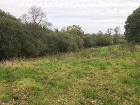 Click the photo for more details of Stapley, Taunton
