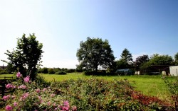 Images for WATLINGTON