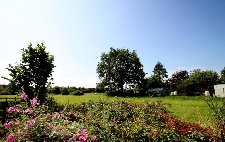 Images for WATLINGTON