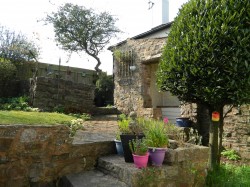 Images for Staple Cross, Wellington