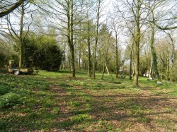 Images for Staple Cross, Wellington