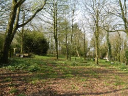 Images for Staple Cross, Wellington