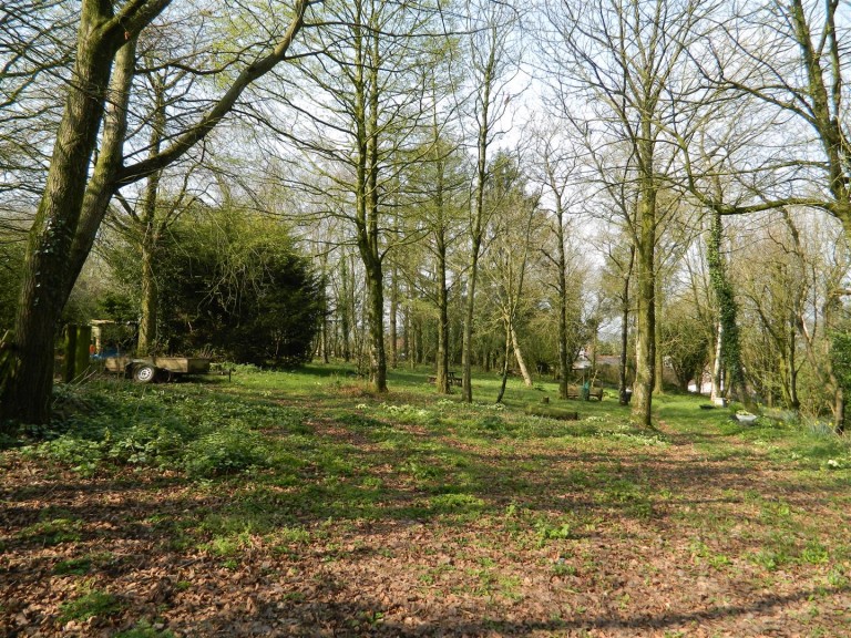 Images for Staple Cross, Wellington