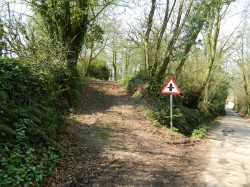 Images for Staple Cross, Wellington