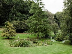Images for Whitwell, Isle of Wight