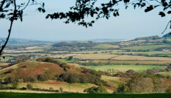 Images for Whitwell, Isle of Wight