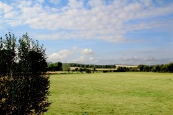 Images for WATLINGTON