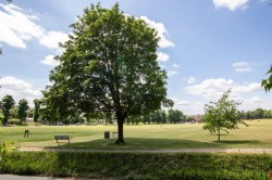 Images for Chaters Hill, Saffron Walden