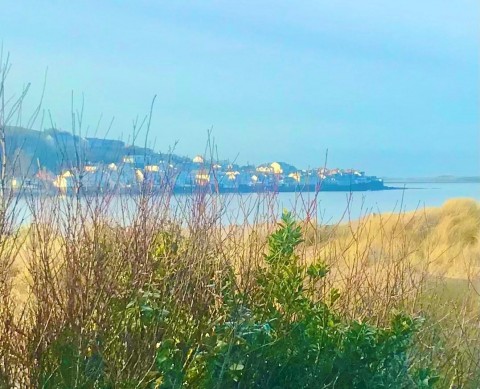 Click the photo for more details of Instow