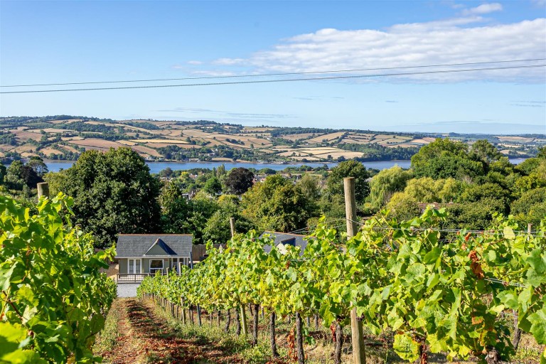 View Full Details for Teign Estuary