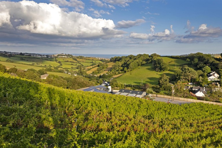 Images for Teign Estuary