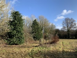 Images for Crediton