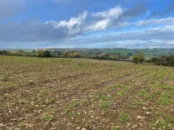 Images for Ashcott, Bridgwater, Somerset