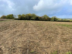 Images for Ashcott, Bridgwater, Somerset