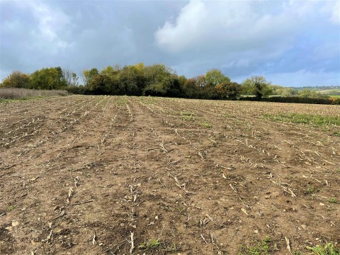 Click the photo for more details of Ashcott, Bridgwater, Somerset