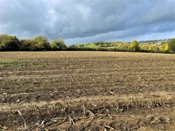 Images for Ashcott, Bridgwater, Somerset