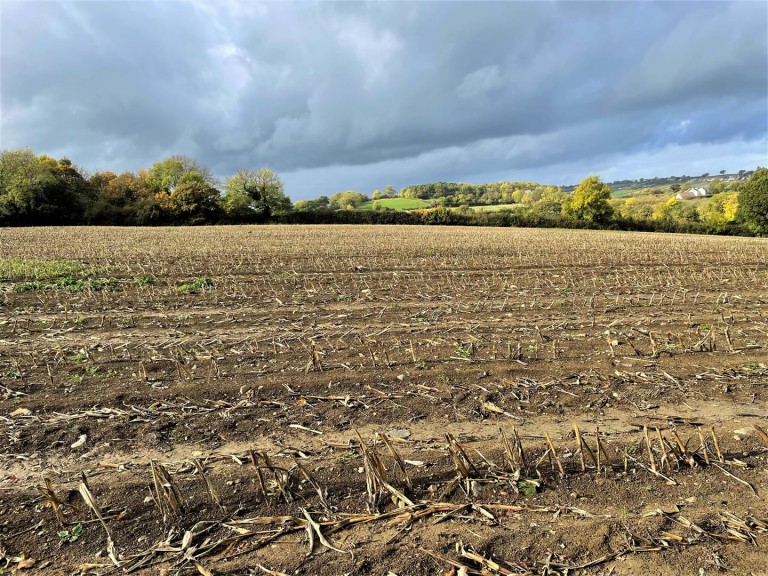 Images for Ashcott, Bridgwater, Somerset