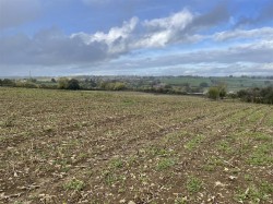 Images for Ashcott, Bridgwater, Somerset