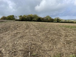 Images for Ashcott, Bridgwater, Somerset