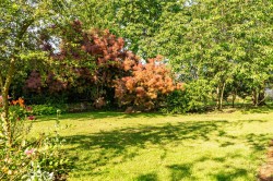 Images for Hempstead Road, Radwinter, Saffron Walden