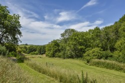 Images for Combe Martin