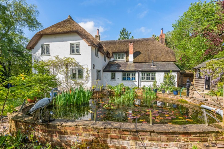 Click the photo for more details of South Chard, Chard