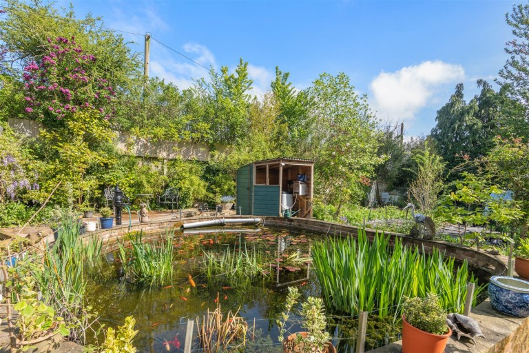 Images for South Chard, Chard