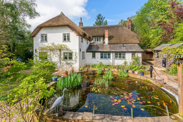 Images for South Chard, Chard