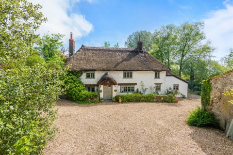 Click the photo for more details of South Chard, Chard