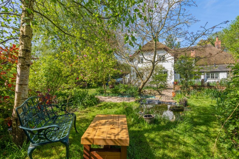 Images for South Chard, Chard