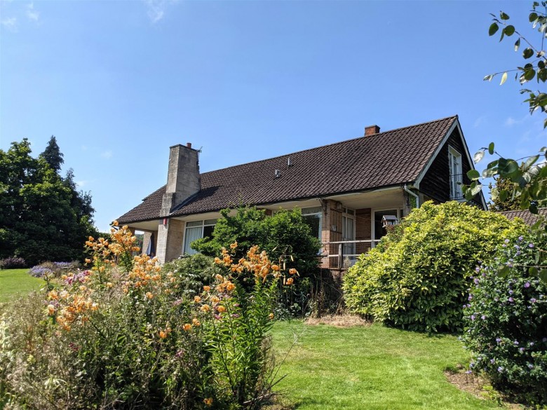 Click the photo for more details of Whiteball, Wellington