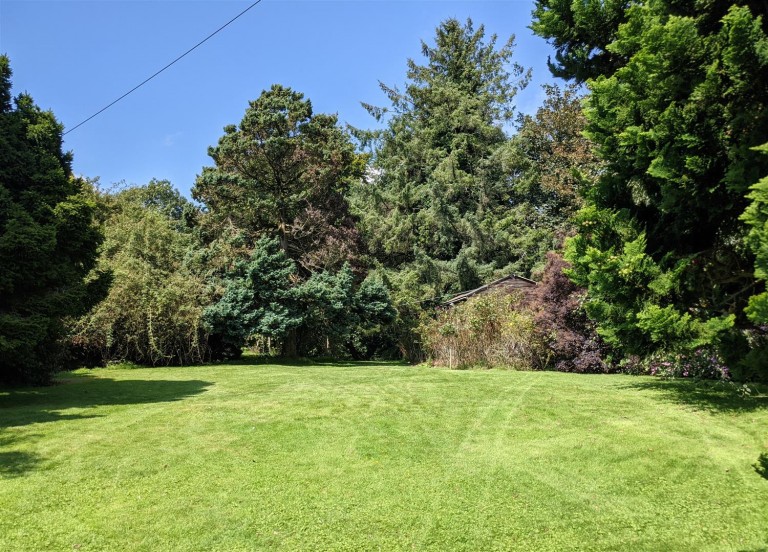 Images for Whiteball, Wellington