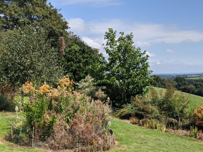 Images for Whiteball, Wellington