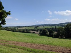 Images for Whiteball, Wellington